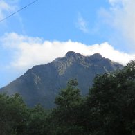 27271328_Unknown