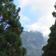 27271472_Unknown