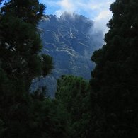 27271488_Unknown