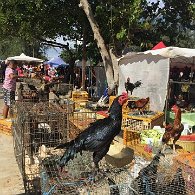 IMG_1021