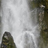 27798880_Unknown