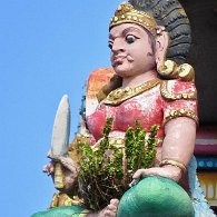 27799152_Unknown