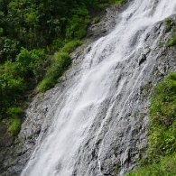 27799920_Unknown