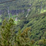 27800128_Unknown