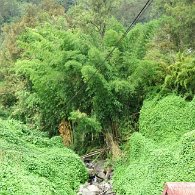27800592_Unknown
