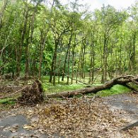 27801808_Unknown
