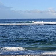 27805728_Unknown