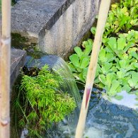 27806800_Unknown