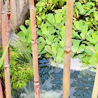 27806816_Unknown
