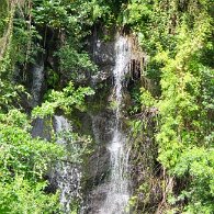 27809952_Unknown