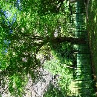 27810160_Unknown
