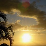 27810256_Unknown