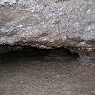 27824176_Unknown