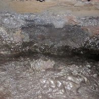 27824352_Unknown
