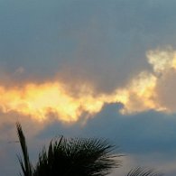 27274112_Unknown