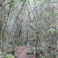 27271520_Unknown