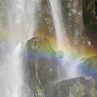 27798832_Unknown