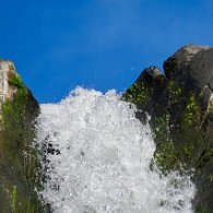 27798864_Unknown