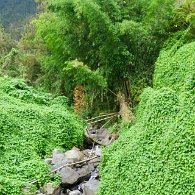 27800624_Unknown