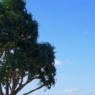27801280_Unknown
