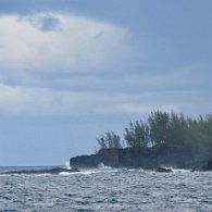 27801968_Unknown