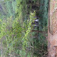 27802048_Unknown