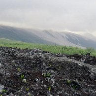 27802528_Unknown