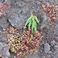 27802544_Unknown