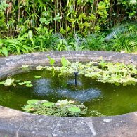 27806592_Unknown