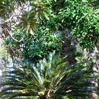 27806608_Unknown