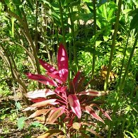 27806656_Unknown