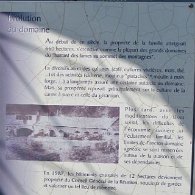 27806736_Unknown