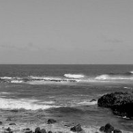 27809424_Unknown