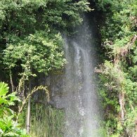 27809936_Unknown