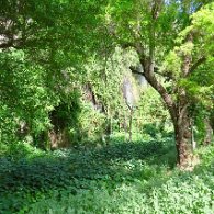 27810128_Unknown