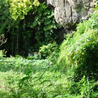 27810192_Unknown