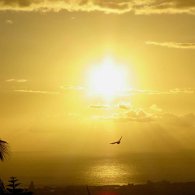 27810336_Unknown