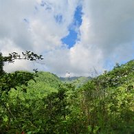 27810352_Unknown