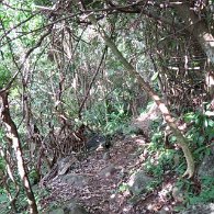 27810512_Unknown