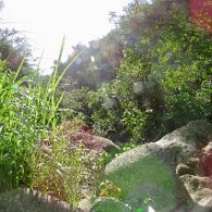 27810576_Unknown