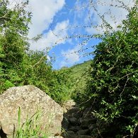 27810592_Unknown