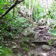 27810608_Unknown