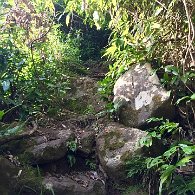 IMG_1050