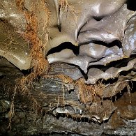 IMG_3402