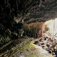 IMG_3403