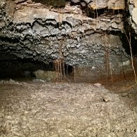 IMG_3407