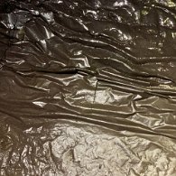 IMG_3417