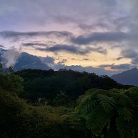 IMG_3486