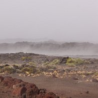 R6OL1501