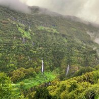 IMG_3557